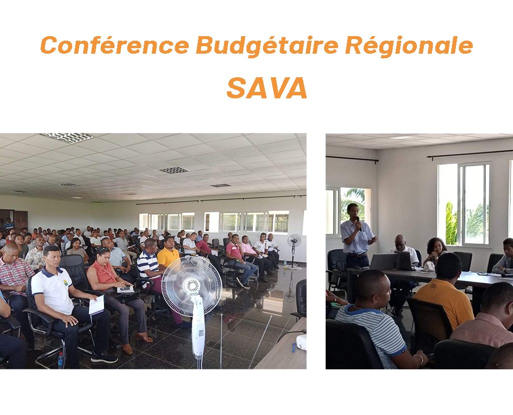 sava_1024x827_DELjrwFxqI.jpg